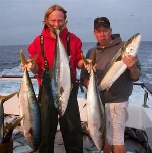 Meet your Posher, Jim